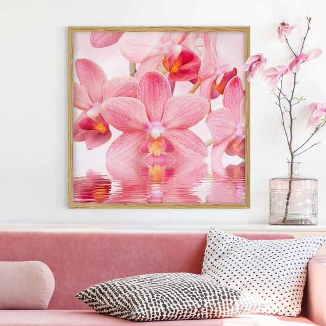 Ingelijste posters Light Pink Orchid On Water