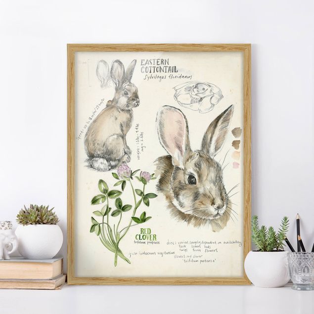 Ingelijste posters Wilderness Journal - Rabbit
