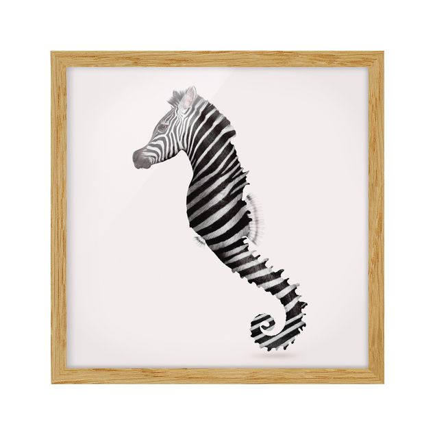 Ingelijste posters Seahorse With Zebra Stripes
