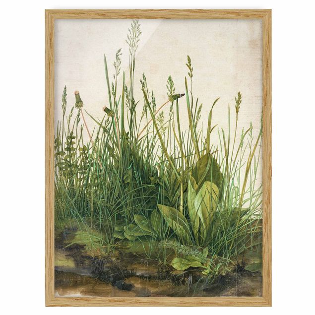 Ingelijste posters Albrecht Dürer - The Great Lawn
