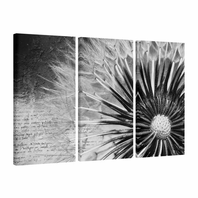 Canvas schilderijen - 3-delig Dandelion Black & White