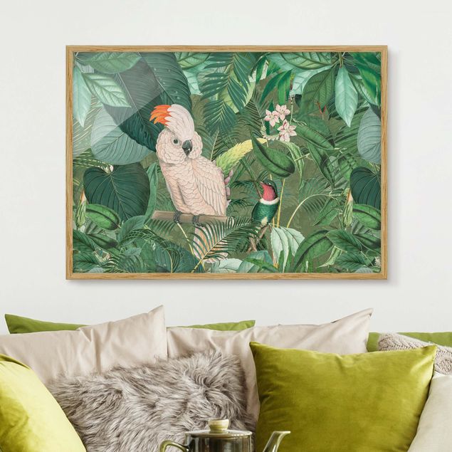 Ingelijste posters Vintage Collage - Kakadu And Hummingbird
