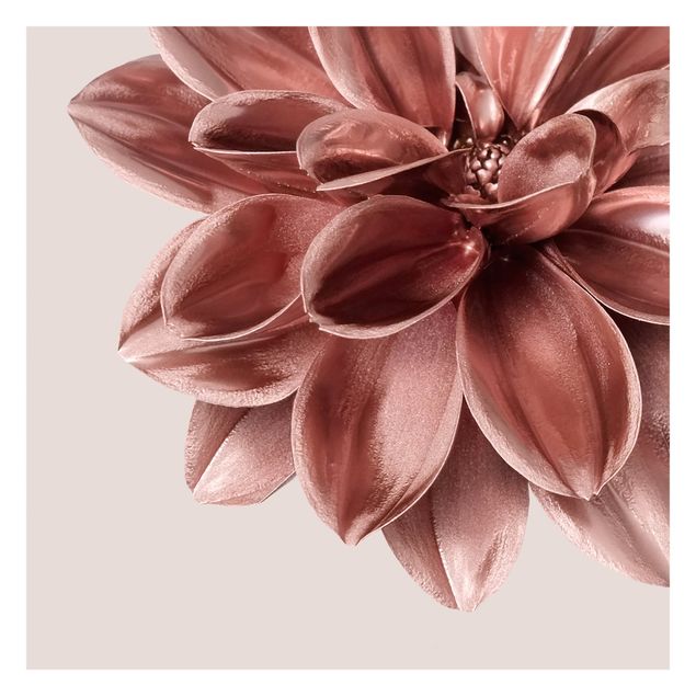 Fotobehang Dahlia Flower Rosegold Metallic Detail