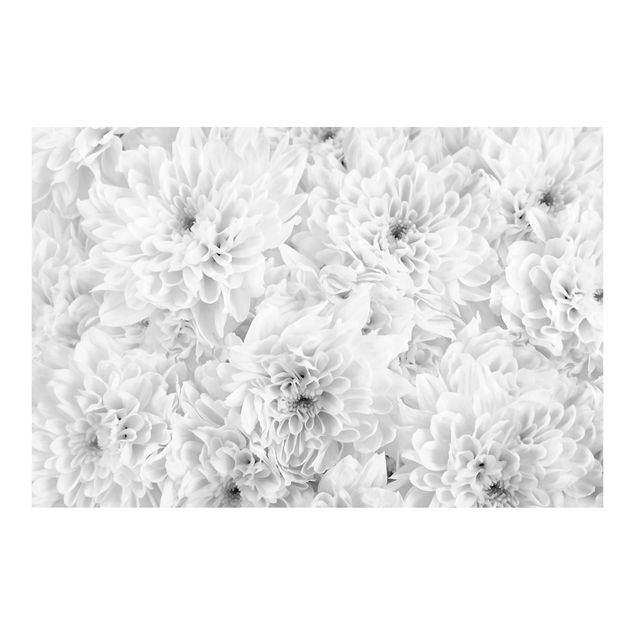 Fotobehang Dahlia Close-up Black And White