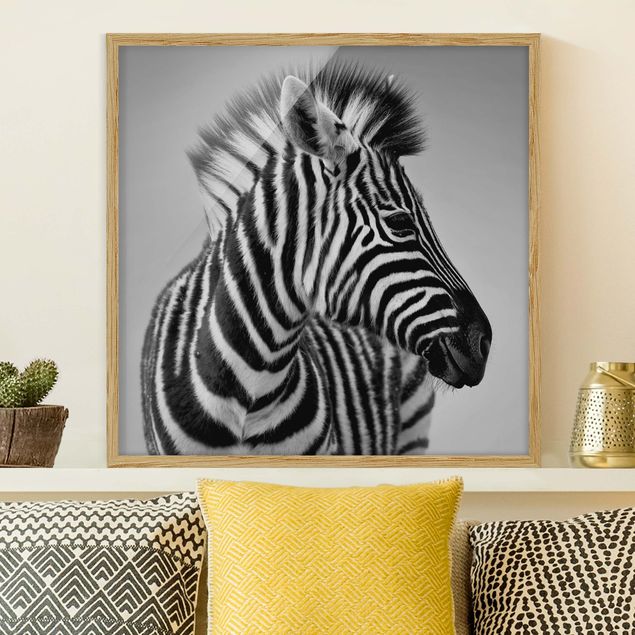 Ingelijste posters Zebra Baby Portrait II