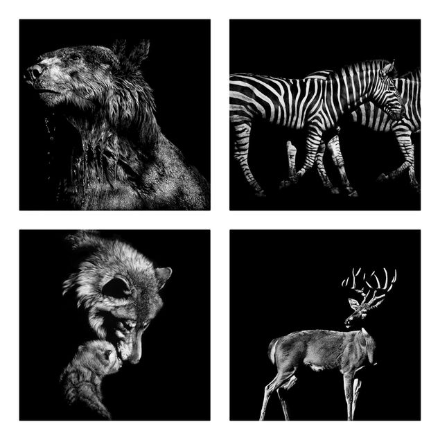 Canvas schilderijen - 4-delig Wild Animals From Black Set I