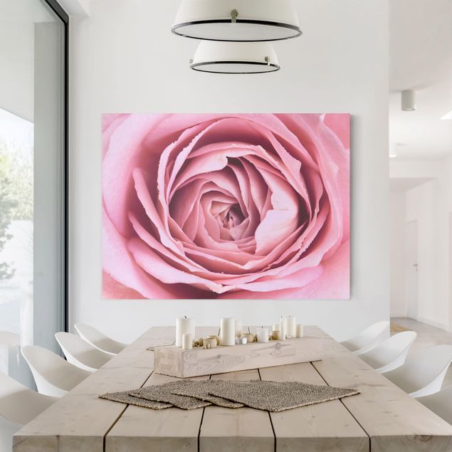 Canvas schilderijen Pink Rose Blossom