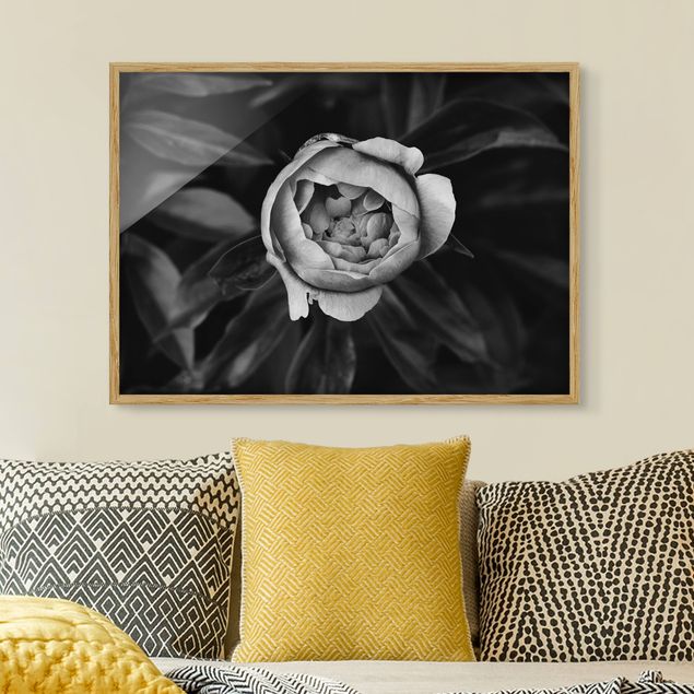 Ingelijste posters Peonies In Front Of Leaves Black And White