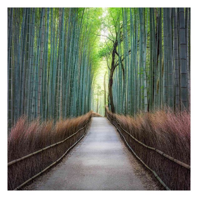 Fotobehang The Path Through The Bamboo