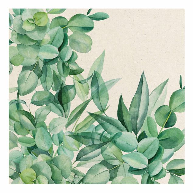 Natuurlijk canvas schilderijen Thicket Eucalytus Leaves Watercolour