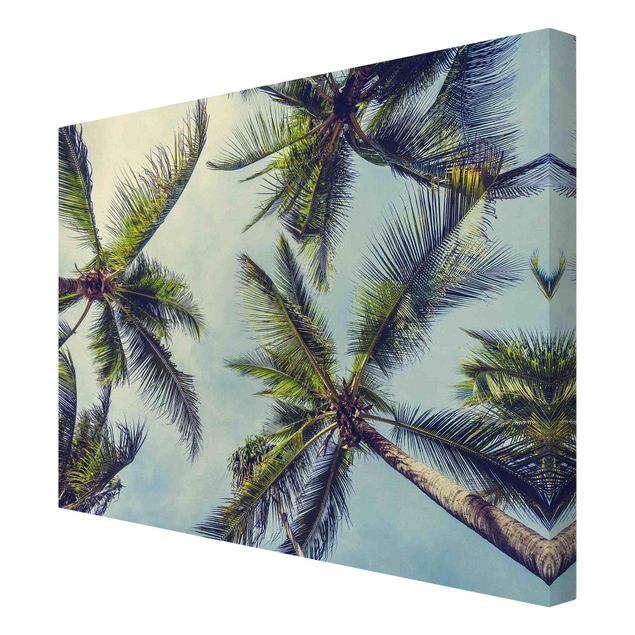 Canvas schilderijen The Palm Trees