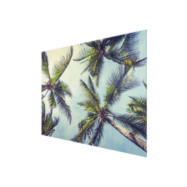Glasschilderijen The Palm Trees