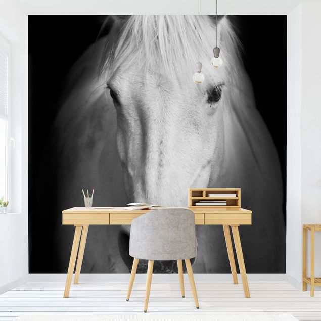 Fotobehang Dream Of A Horse