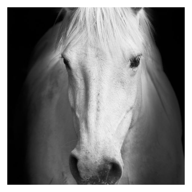 Fotobehang Dream Of A Horse