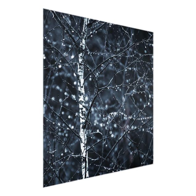 Glasschilderijen Dark Birch Tree In Cold Rain