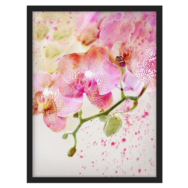 Ingelijste posters Watercolour Flowers Orchids