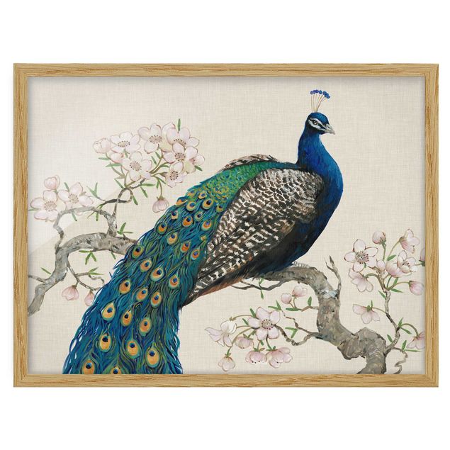 Ingelijste posters Vintage Peacock With Cherry Blossoms