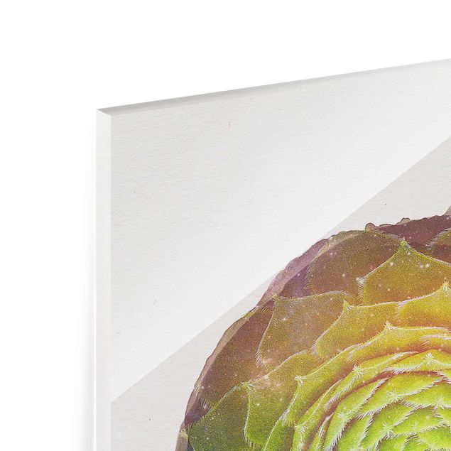 Glasschilderijen WaterColours - Mandala Succulent