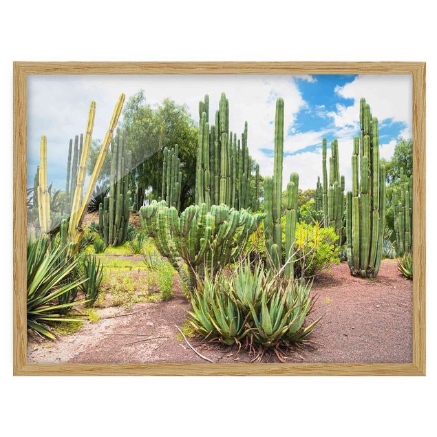 Ingelijste posters Cactus Landscape