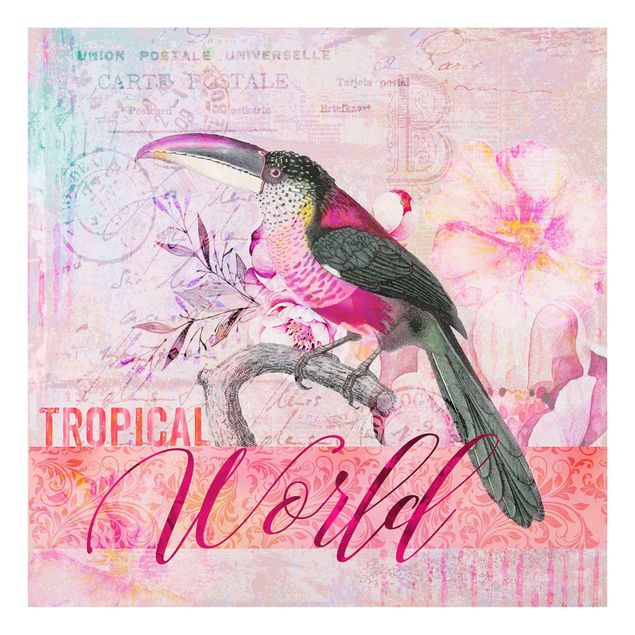 Glasschilderijen Vintage Collage - Tropical World Tucan