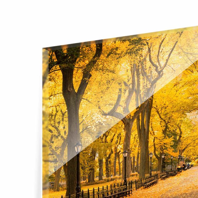 Glasschilderijen Autumn In Central Park