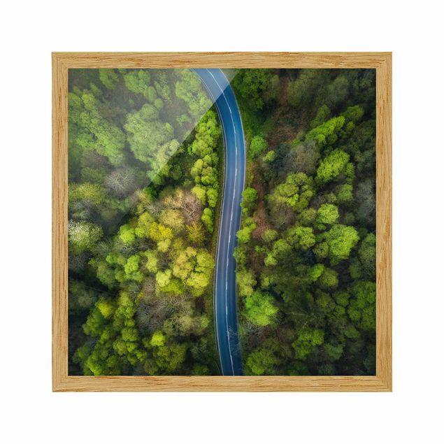 Ingelijste posters Aerial View - Asphalt Road In The Forest