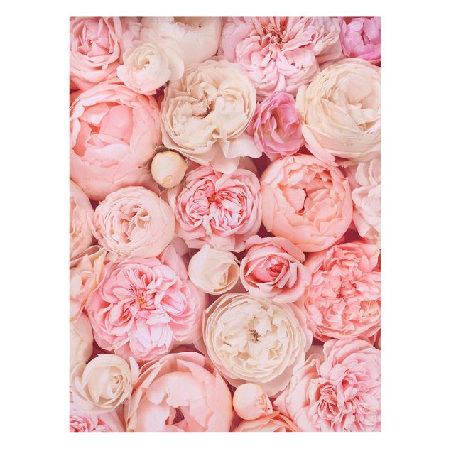 Canvas schilderijen Roses Rosé Coral Shabby