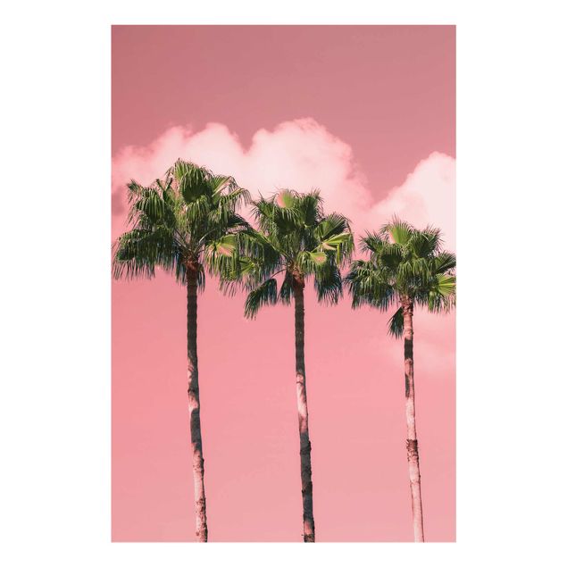 Glasschilderijen Palm Trees Against Sky Pink