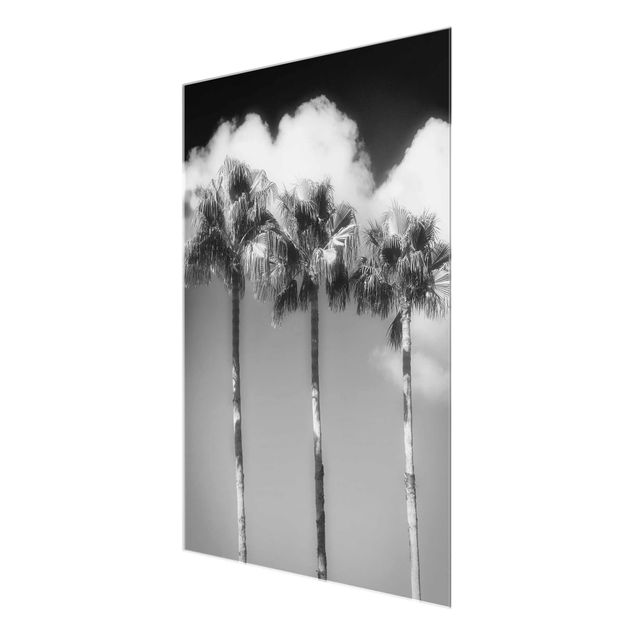 Glasschilderijen Palm Trees Against The Sky Black And White
