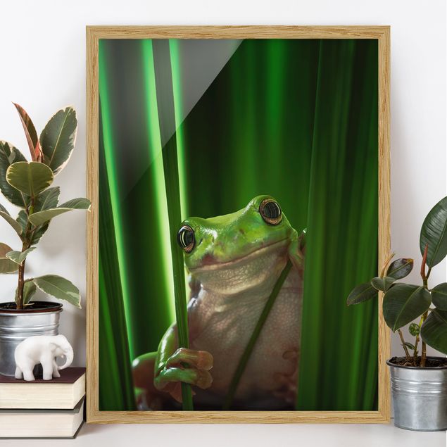 Ingelijste posters Merry Frog