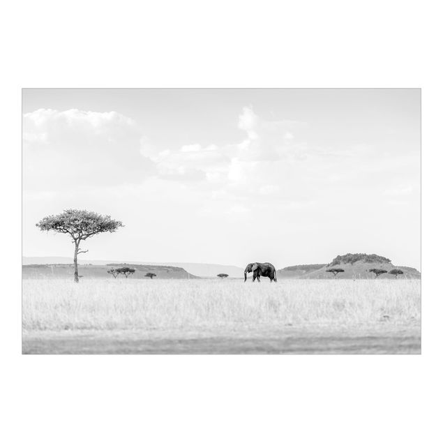 Fotobehang Elephant In Vast Savannah Black And White