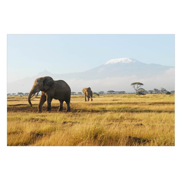 Raamfolie Elephants In Front Of The Kilimanjaro In Kenya