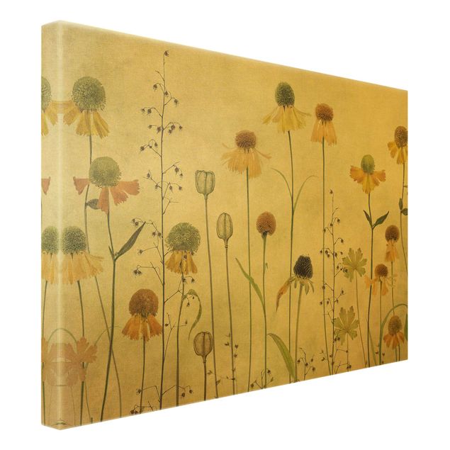 Canvas schilderijen - Goud Delicate Helenium Flowers