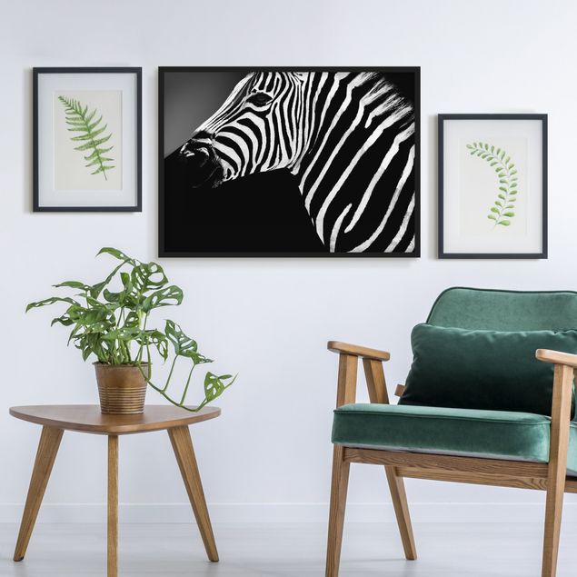Ingelijste posters Zebra Safari Art