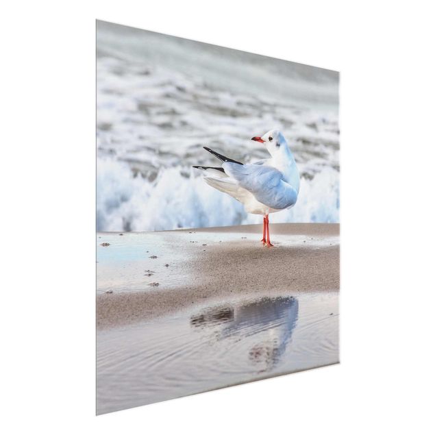 Glasschilderijen Seagull On The Beach In Front Of The Sea