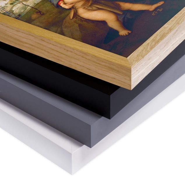 Ingelijste posters Raffael - Madonna of the Goldfinch