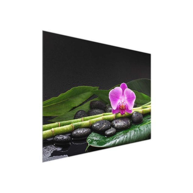 Glasschilderijen Green Bamboo With Orchid Flower