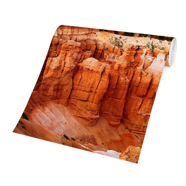 Fotobehang Blaze Of Colour Of The Grand Canyon