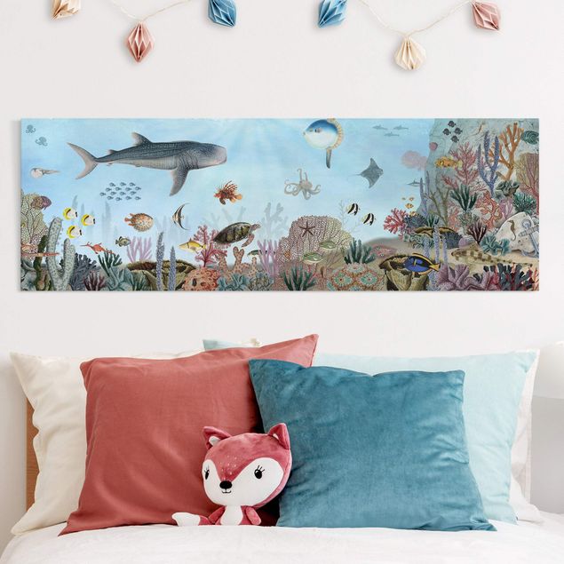 Kikki Belle Fascinating creatures on the coral reef