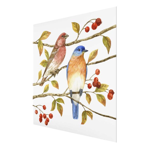 Glasschilderijen Birds And Berries - Bluebird