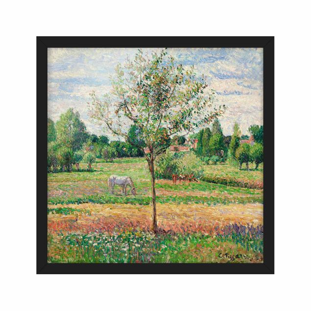 Ingelijste posters Camille Pissarro - Meadow with Grey Horse, Eragny