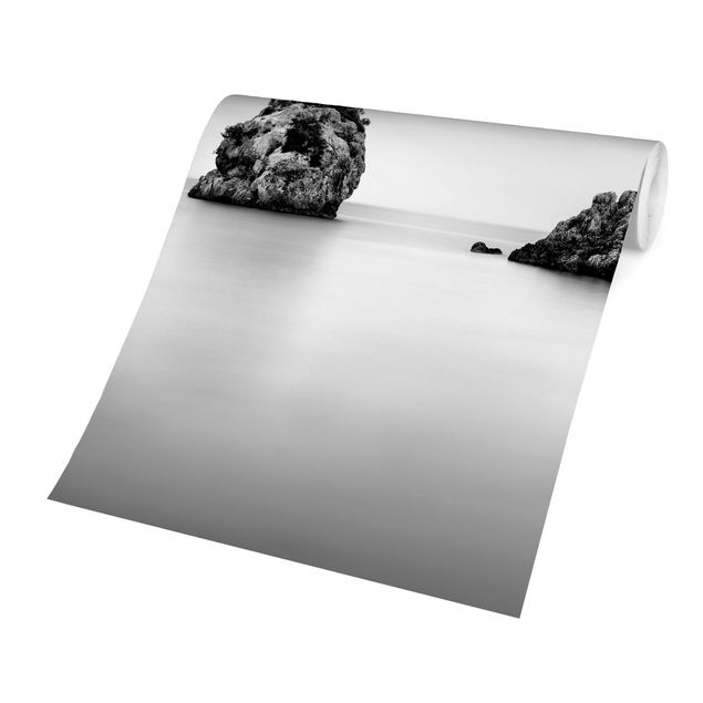 Fotobehang Rocky Island In The Sea Black And White