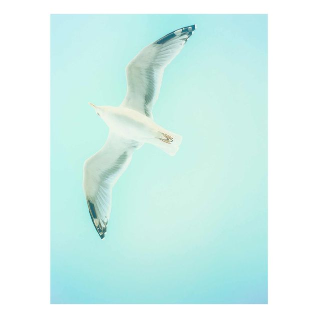 Glasschilderijen Blue Sky With Seagull