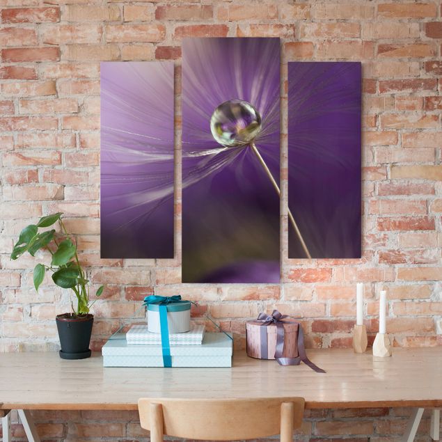 Canvas schilderijen - 3-delig Dandelion In Violet