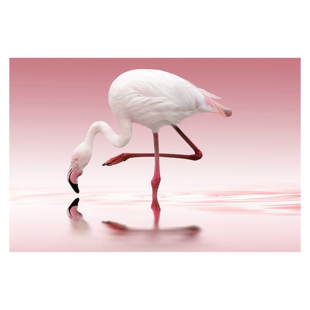 Fotobehang Flamingo Dance