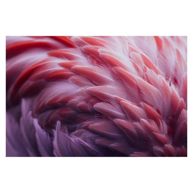 Fotobehang Flamingo Feathers Close-Up