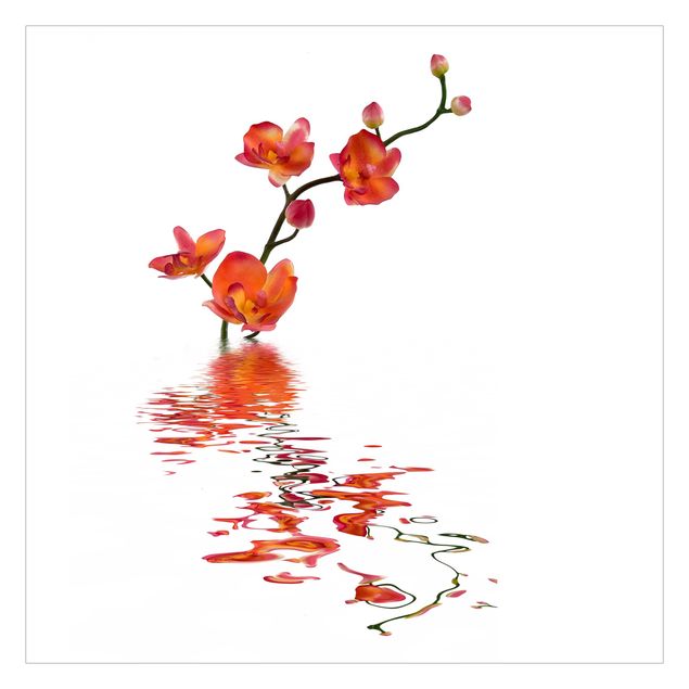 Fotobehang Flamy Orchid Waters