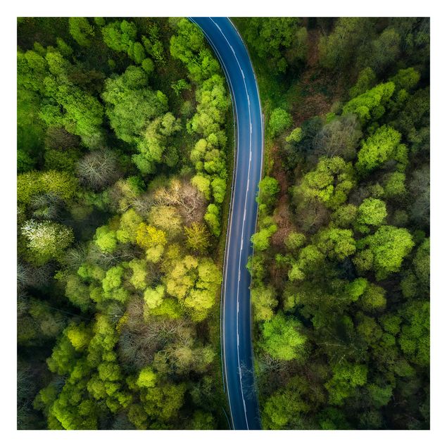 Fotobehang Aerial View - Asphalt Road In The Forest