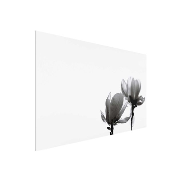 Glasschilderijen Herald Of Spring Magnolia Black And White