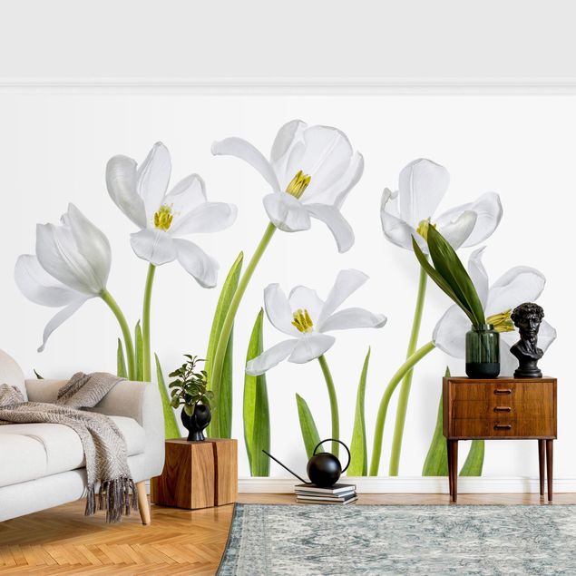 Fotobehang Five White Tulips